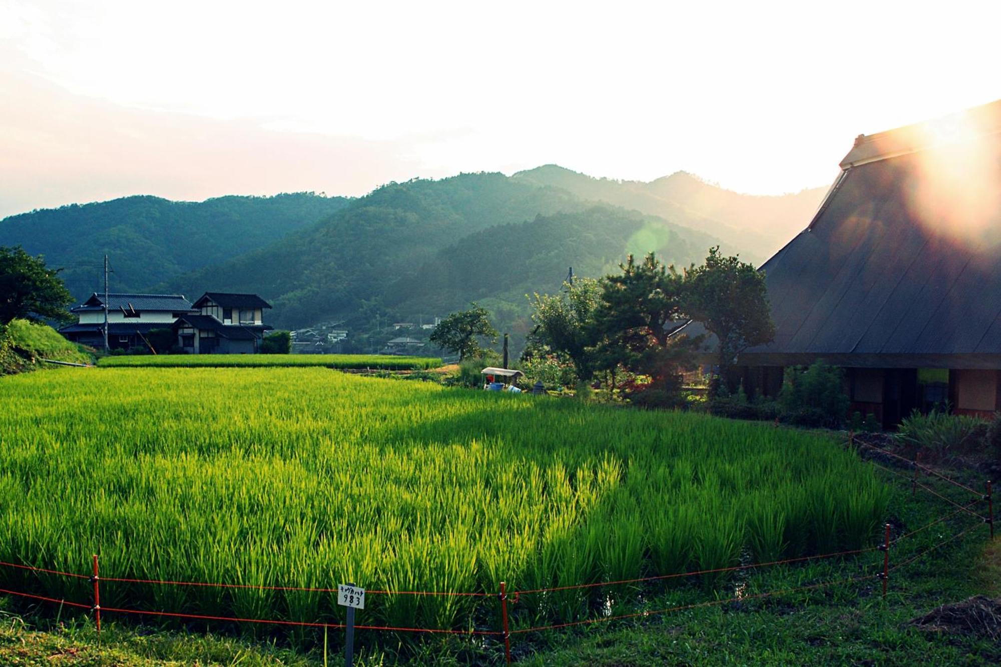 古民家の宿 ふるま家 Furumaya House Gastronomic Farmstay In Deep Kyoto Fukuchiyama Exteriör bild