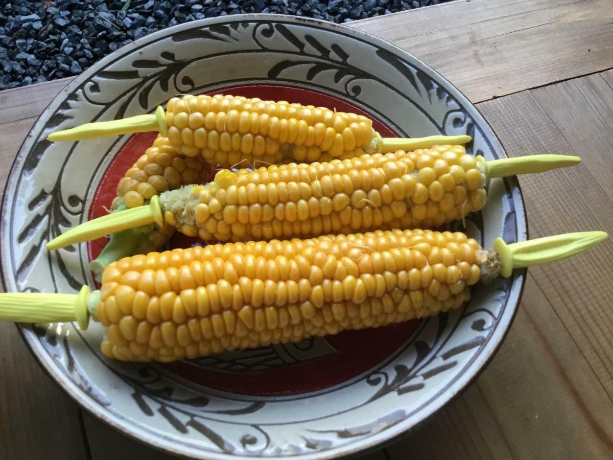 古民家の宿 ふるま家 Furumaya House Gastronomic Farmstay In Deep Kyoto Fukuchiyama Exteriör bild